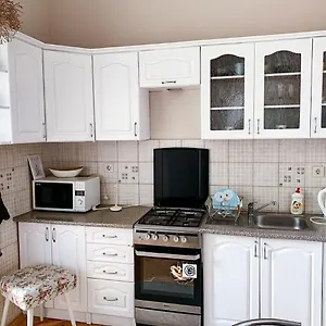 Апартаменты Mitskevycha Square Apartment- At The Center Of, Львов